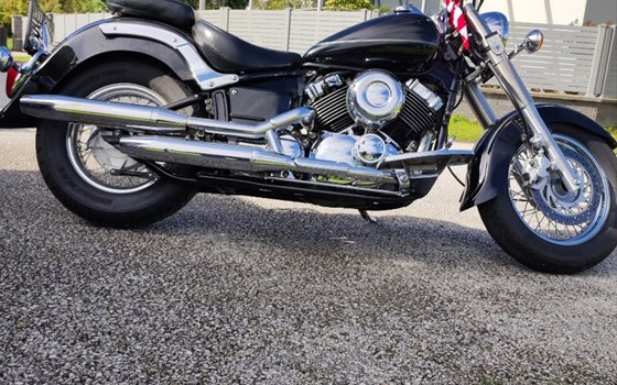 Gebrauchtmotorrad Yamaha XVS 650 Drag Star Classic - Bild 7 Gebrauchtmotorrad Yamaha XVS 650 Drag Star Classic - Bild 7