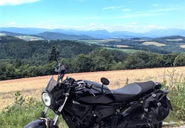 Gebrauchte Yamaha XSR700 Gebrauchte Yamaha XSR700