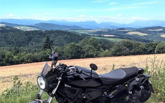 Gebrauchtmotorrad Yamaha XSR700 - Bild 1