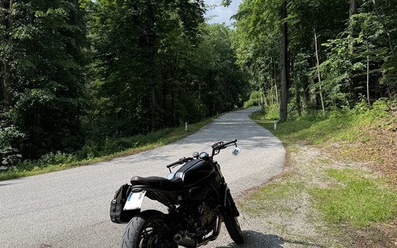 Gebrauchtmotorrad Yamaha XSR700 - Bild 3