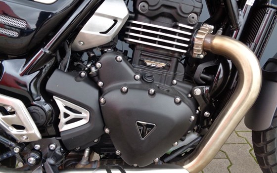 Gebrauchtmotorrad Triumph Scrambler 400 X - Bild 2