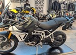 Angebot Triumph Tiger 900 Rally Pro