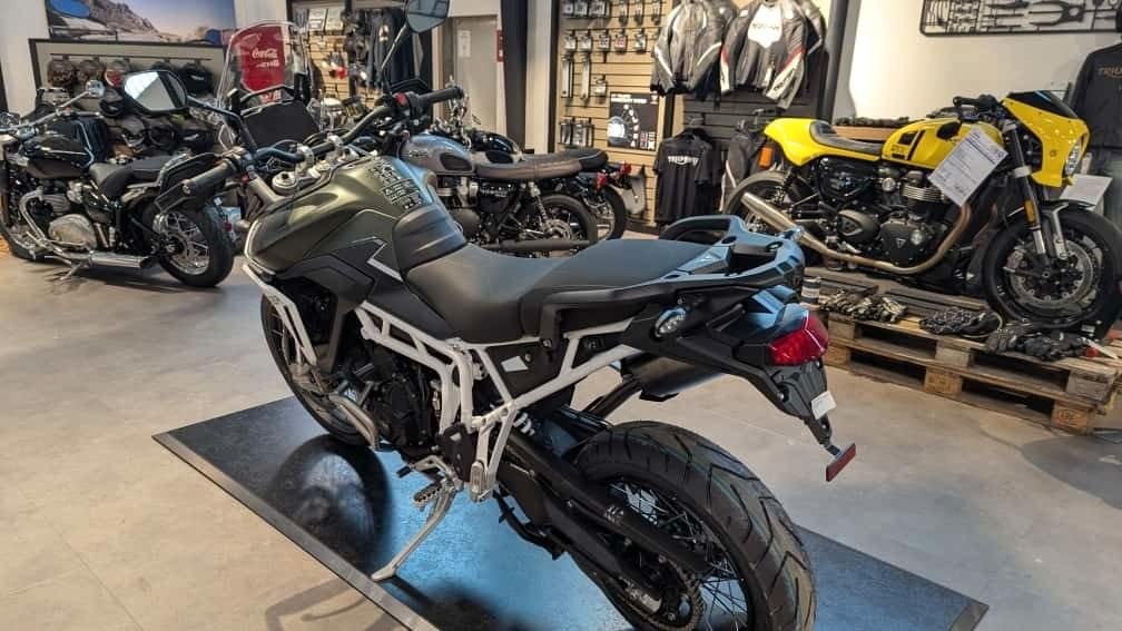 Angebot Triumph Tiger 900 Rally Pro