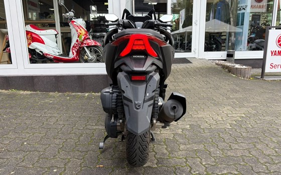 Gebrauchtmotorrad Honda Forza 125 - Bild 3