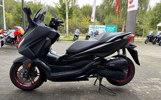 Gebrauchtmotorrad Honda Forza 125 - Bild 5