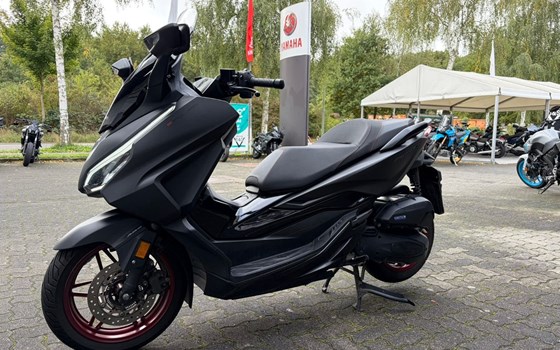 Gebrauchtmotorrad Honda Forza 125 - Bild 6
