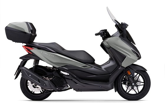 Neufahrzeug Honda Forza 125 - Bild 1