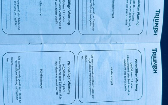 Gebrauchtmotorrad Triumph Tiger 1050 SE - Bild 19