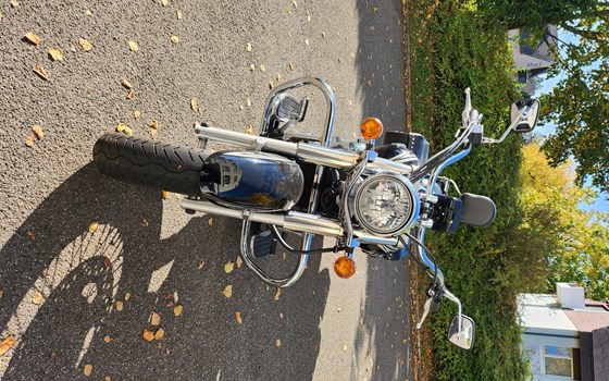 Motorrad Occasion Kawasaki VN 900 Classic - Bild 1