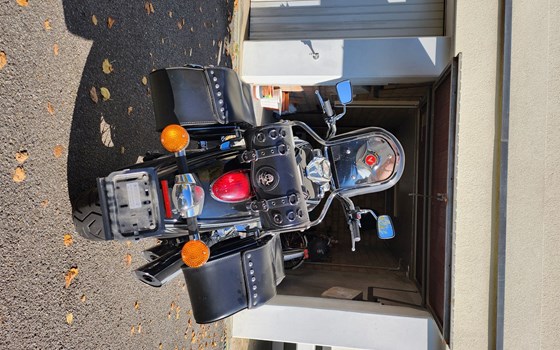 Motorrad Occasion Kawasaki VN 900 Classic - Bild 4