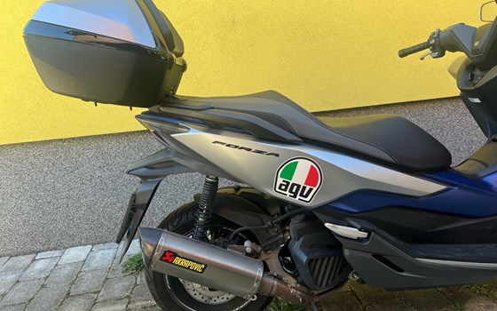 Gebrauchtmotorrad Honda Forza 125 - Bild 4 Gebrauchtmotorrad Honda Forza 125 - Bild 4