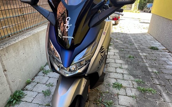 Gebrauchtmotorrad Honda Forza 125 - Bild 5 Gebrauchtmotorrad Honda Forza 125 - Bild 5
