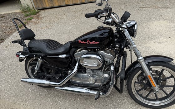 Gebrauchtmotorrad Harley-Davidson Sportster XL 883 L SuperLow - Bild 1 Gebrauchtmotorrad Harley-Davidson Sportster XL 883 L SuperLow - Bild 1