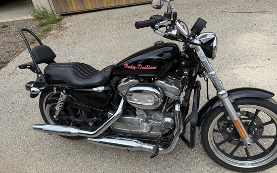 Gebrauchtmotorrad Harley-Davidson Sportster XL 883 L SuperLow - Bild 1