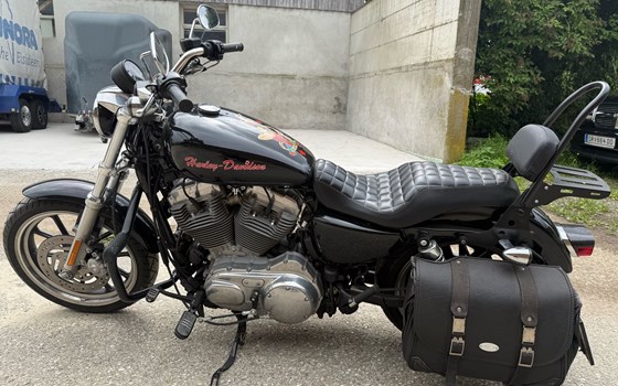 Gebrauchtmotorrad Harley-Davidson Sportster XL 883 L SuperLow - Bild 2