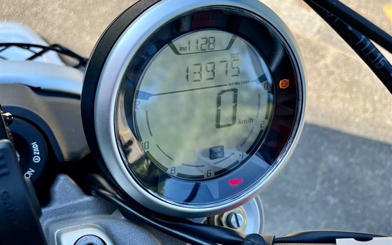 Motorrad Occasion Ducati Scrambler Desert Sled - Bild 2