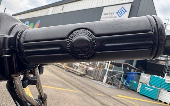 Motorrad Occasion Harley-Davidson Sportster XL 1200X Forty-Eight - Bild 13