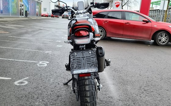 Neufahrzeug Ducati DesertX - Bild 6 Neufahrzeug Ducati DesertX - Bild 6