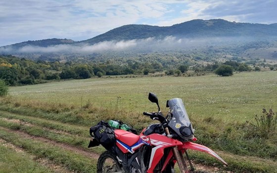 Gebrauchtmotorrad Honda CRF300 Rally - Bild 6 Gebrauchtmotorrad Honda CRF300 Rally - Bild 6