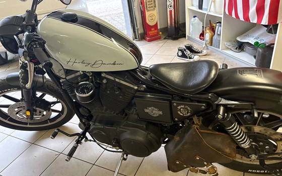 Gebrauchtmotorrad Harley-Davidson Sportster XL 883 - Bild 10 Gebrauchtmotorrad Harley-Davidson Sportster XL 883 - Bild 10