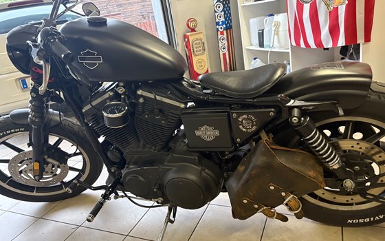 Gebrauchtmotorrad Harley-Davidson Sportster XL 883 - Bild 5 Gebrauchtmotorrad Harley-Davidson Sportster XL 883 - Bild 5