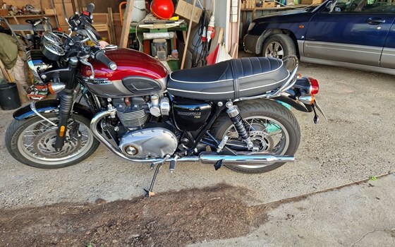 Gebrauchtmotorrad Triumph Bonneville T120 - Bild 1