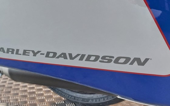 Neufahrzeug Harley-Davidson Dyna Street Bob Special - Bild 10