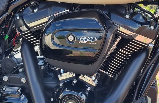 Gebrauchtmotorrad Harley-Davidson Freewheeler - Bild 2