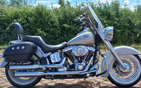 Gebrauchtmotorrad Harley-Davidson Softail Deluxe FLSTN - Bild 1
