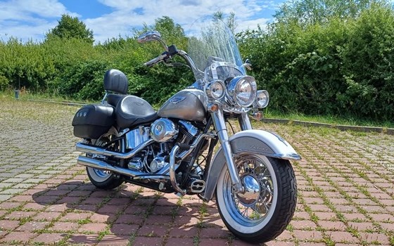 Gebrauchtmotorrad Harley-Davidson Softail Deluxe FLSTN - Bild 3