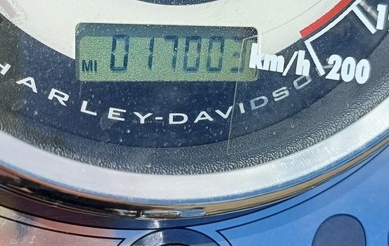 Gebrauchtmotorrad Harley-Davidson Softail Deluxe FLSTN - Bild 7