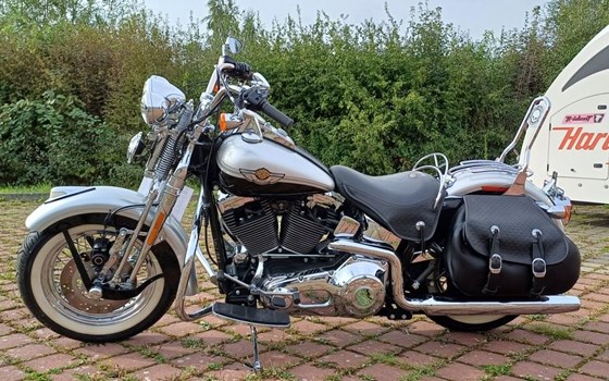 Gebrauchtmotorrad Harley-Davidson Softail Heritage Springer FLSTS - Bild 9