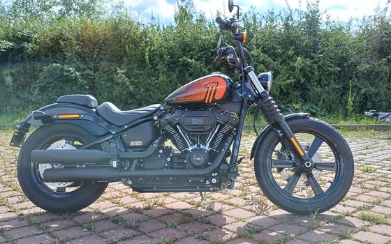 Neufahrzeug Harley-Davidson Softail Street Bob 114 FXBBS - Bild 1