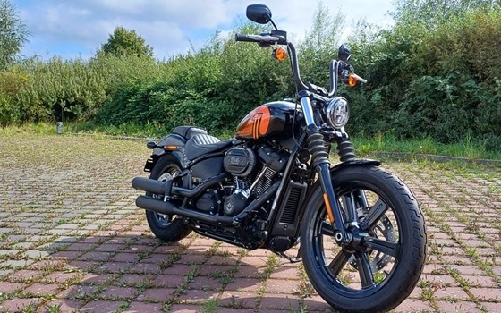 Neufahrzeug Harley-Davidson Softail Street Bob 114 FXBBS - Bild 2