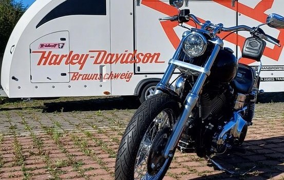 Gebrauchtmotorrad Harley-Davidson Dyna Low Rider FXDL - Bild 8