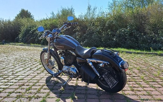Gebrauchtmotorrad Harley-Davidson Sportster XL 1200C Custom - Bild 10