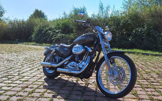 Gebrauchtmotorrad Harley-Davidson Sportster XL 1200C Custom - Bild 3
