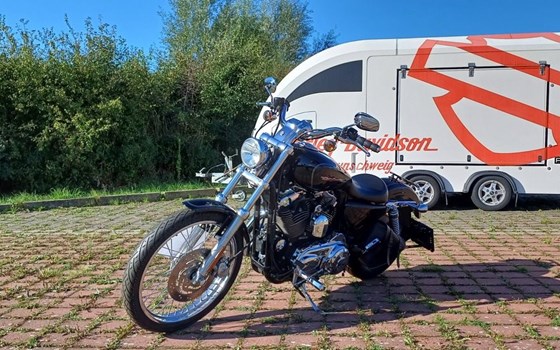 Gebrauchtmotorrad Harley-Davidson Sportster XL 1200C Custom - Bild 8