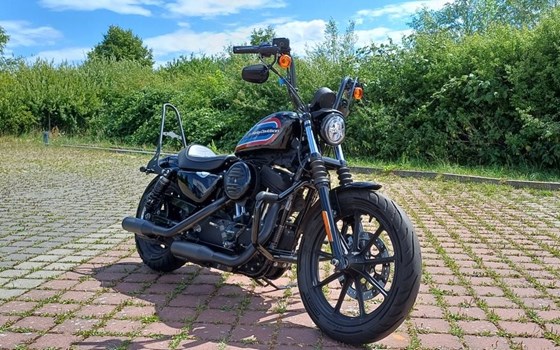 Gebrauchtmotorrad Harley-Davidson Sportster XL 1200NS Iron - Bild 3