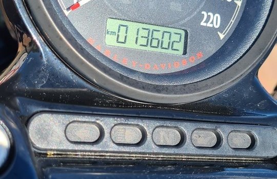 Gebrauchtmotorrad Harley-Davidson Sportster XL 1200X Forty-Eight - Bild 6