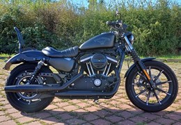 Gebrauchte Harley-Davidson Sportster XL 883 N Iron