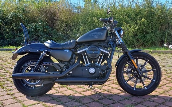 Gebrauchtmotorrad Harley-Davidson Sportster XL 883 N Iron - Bild 1