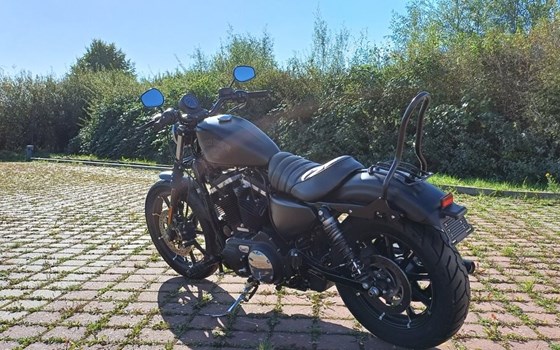 Gebrauchtmotorrad Harley-Davidson Sportster XL 883 N Iron - Bild 10