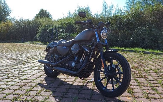 Gebrauchtmotorrad Harley-Davidson Sportster XL 883 N Iron - Bild 3