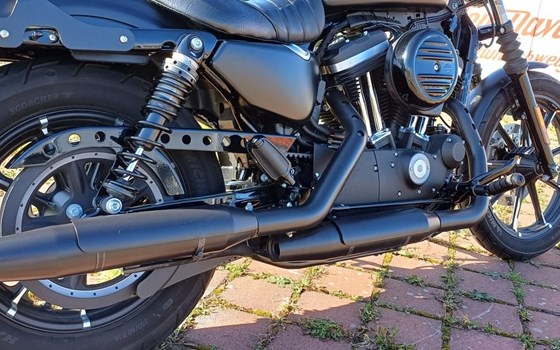 Gebrauchtmotorrad Harley-Davidson Sportster XL 883 N Iron - Bild 6