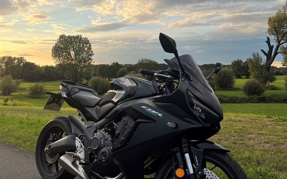 Gebrauchtmotorrad Honda CB650R - Bild 2