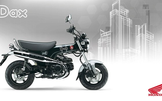 Neufahrzeug Honda Dax 125 - Bild 1 Neufahrzeug Honda Dax 125 - Bild 1
