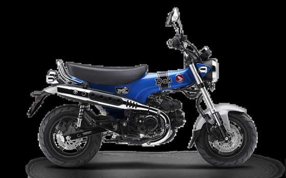 Neufahrzeug Honda Dax 125 - Bild 2 Neufahrzeug Honda Dax 125 - Bild 2