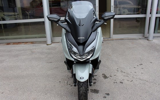 Gebrauchtmotorrad Honda Forza 350 - Bild 3 Gebrauchtmotorrad Honda Forza 350 - Bild 3