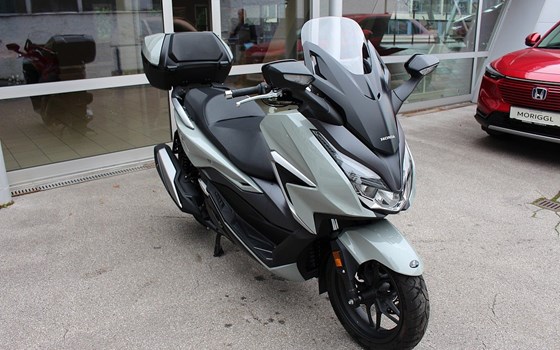 Gebrauchtmotorrad Honda Forza 350 - Bild 4 Gebrauchtmotorrad Honda Forza 350 - Bild 4